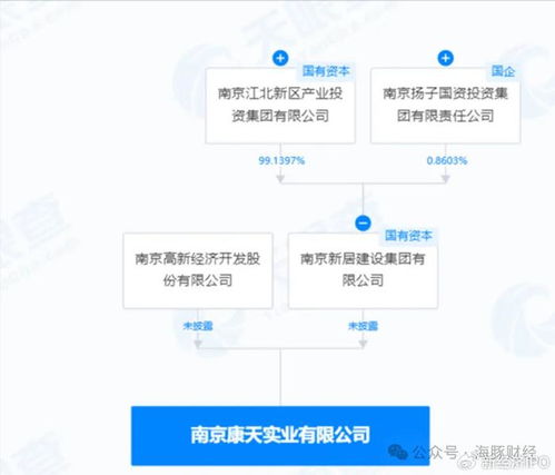 電大大專生研發(fā)政務軟件變身大股東 大漢軟件實控人疑點重重